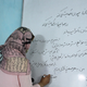 Image for article titled The Persian language has a rich history in India, but it’s slowly dying out